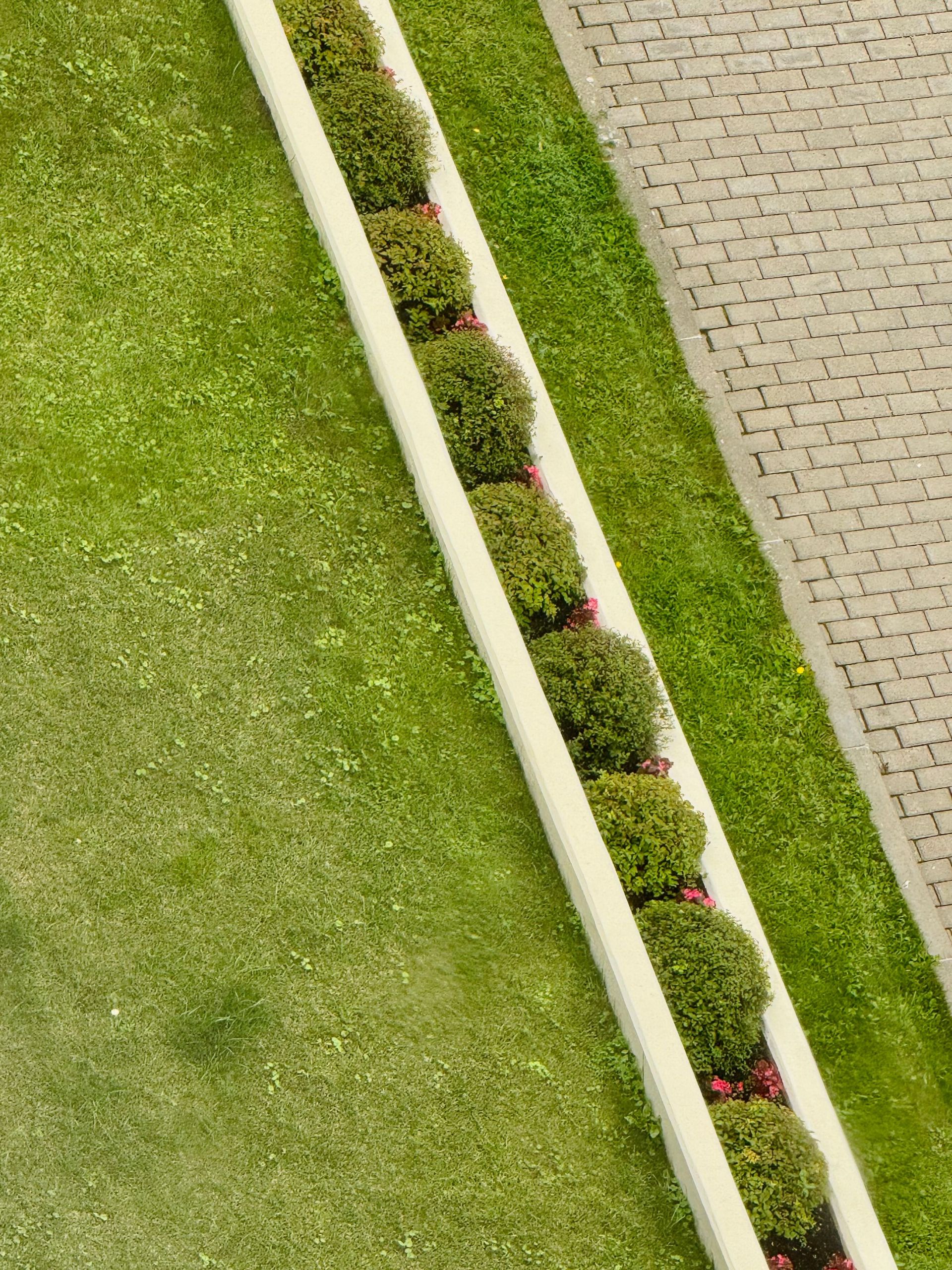 An aerial photo showcasing geometric landscaping with circular shrubs and a brick pathway.